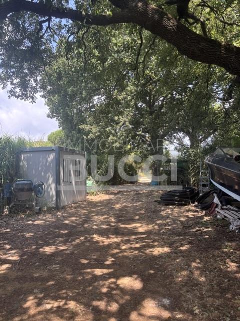 CASTIGLIONE DELLA PESCAIA ( A poca distanza dal paese ) Vendesi terreno con Annesso