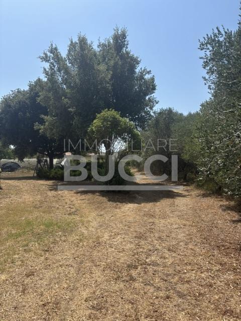 CASTIGLIONE DELLA PESCAIA ( A poca distanza dal paese ) Vendesi terreno con Annesso