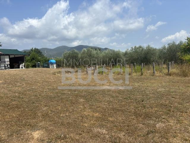 CASTIGLIONE DELLA PESCAIA ( A poca distanza dal paese ) Vendesi terreno con Annesso