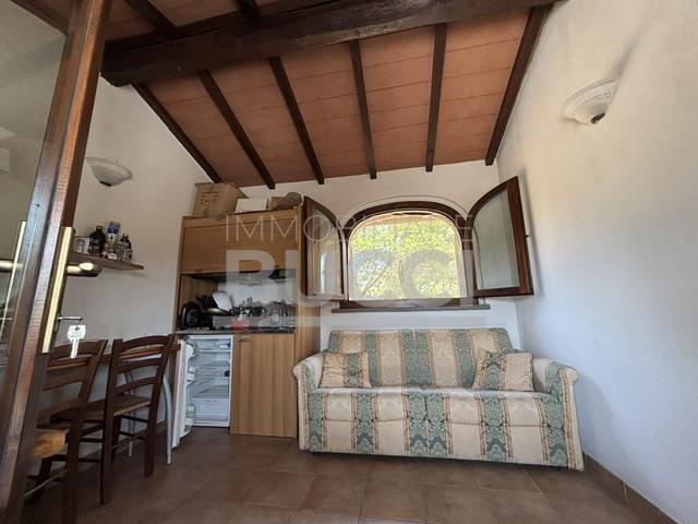 CASTIGLIONE DELLA PESCAIA ( A poca distanza dal paese ) Vendesi terreno con Annesso