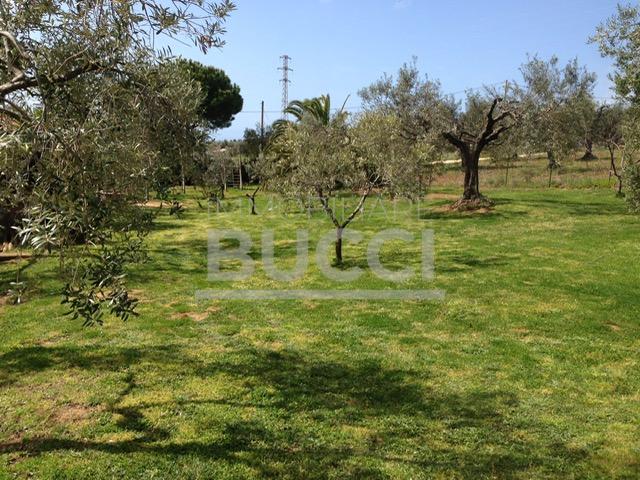 IN ZONA COLLINARE VICINO A FOLLONICA VILLA UNIFAMILIARE CON TERRENO CIRCA ETTARO VISTA MARE RICHIESTA € 720.000